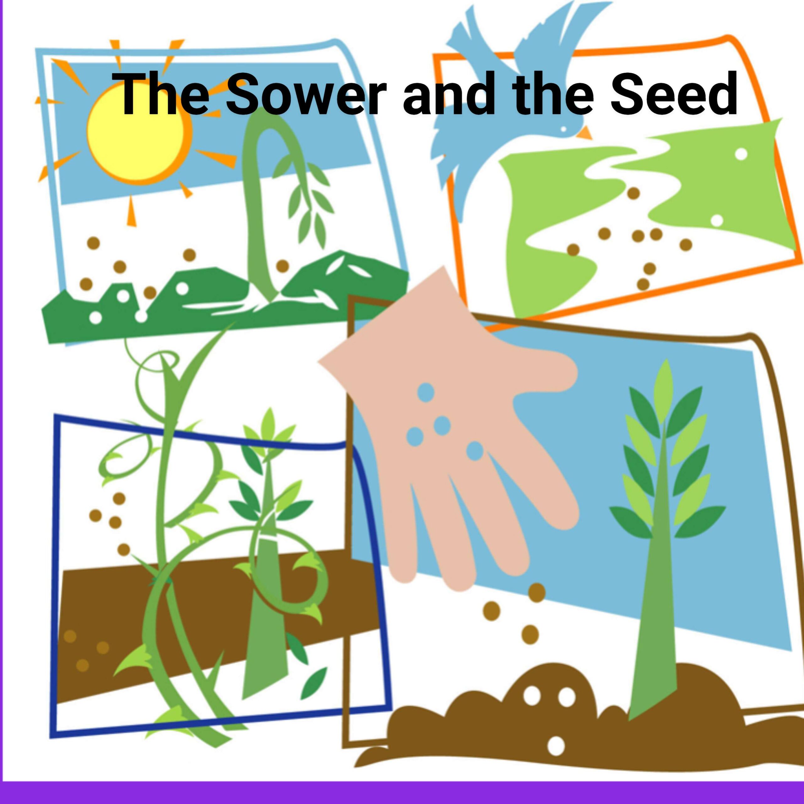 The Sower and the Seed episode artwork